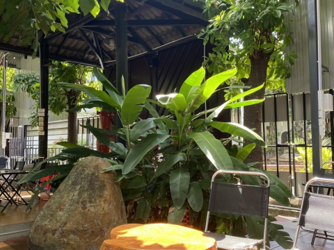 Góc chill cafe sáng tại Sala Garden