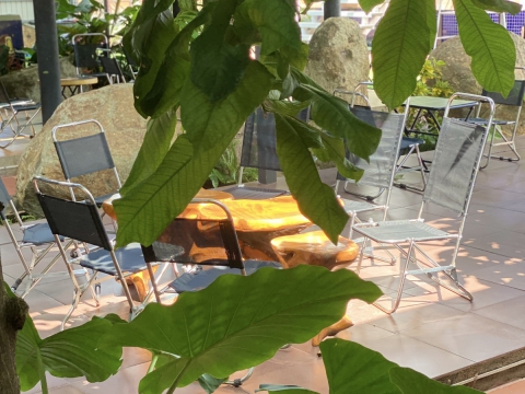 Góc chill cafe sáng tại Sala Garden