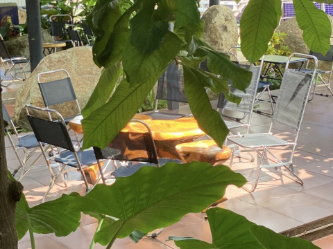 Góc chill cafe sáng tại Sala Garden