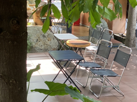 Góc chill cafe sáng tại Sala Garden